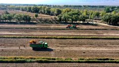 <b>们收成全数采用结合收成机</b>